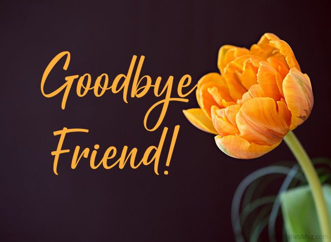 30+ Farewell Quotes and Messages for Friends, Family and Colleagues