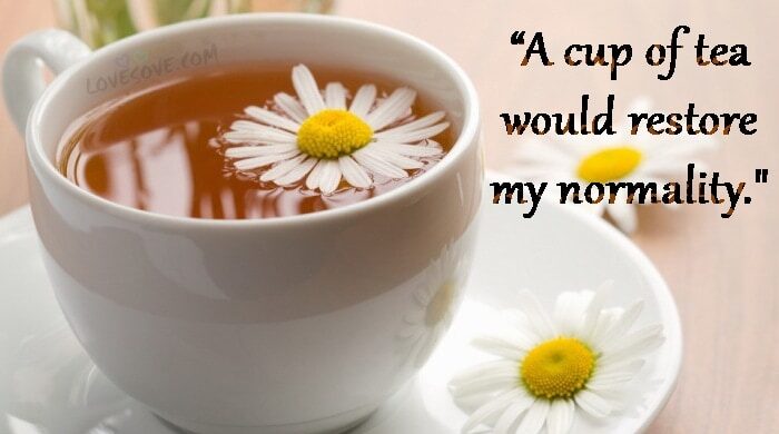 Best Tea Lover Whatsapp Status and Quotes