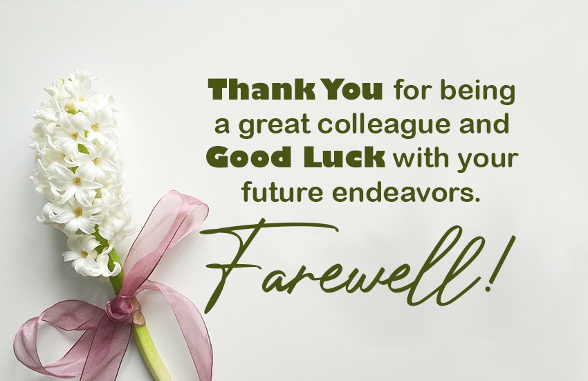 Best Farewell Message To Boss