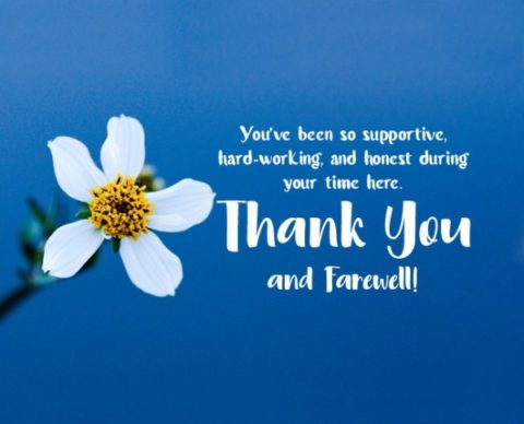 Top 50+ Heartfelt Farewell Messages For Your Employees And Co-workers