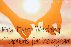 100+ Best wedding and marriage quotes