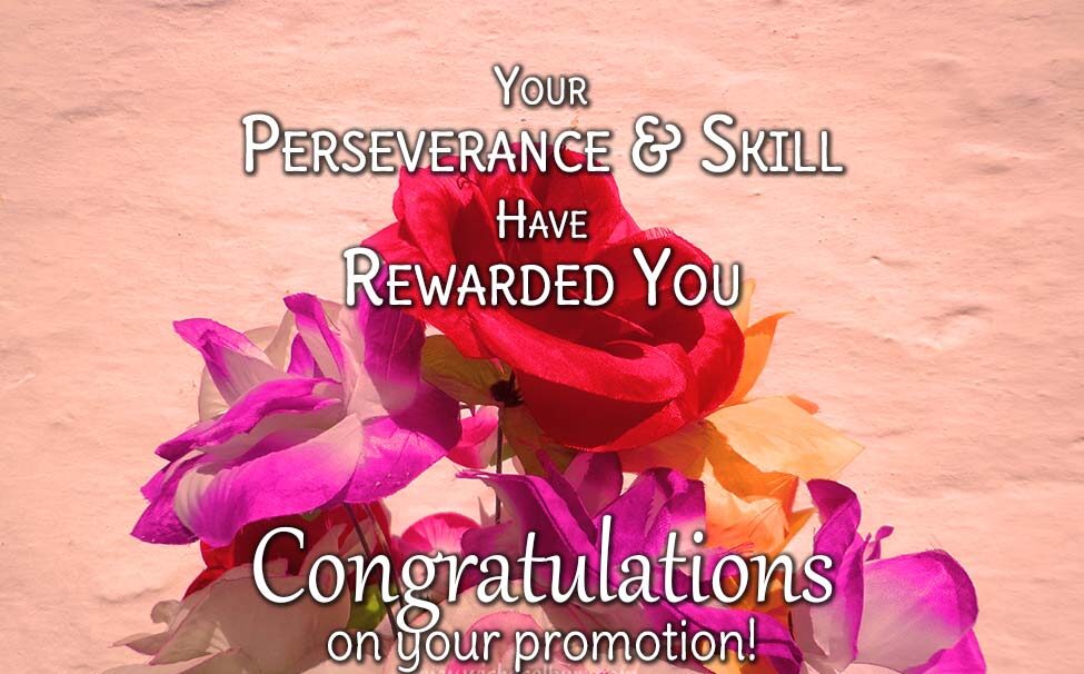Congratulations on your Promotion e1672939922420 100+ congratulations messages for promotion