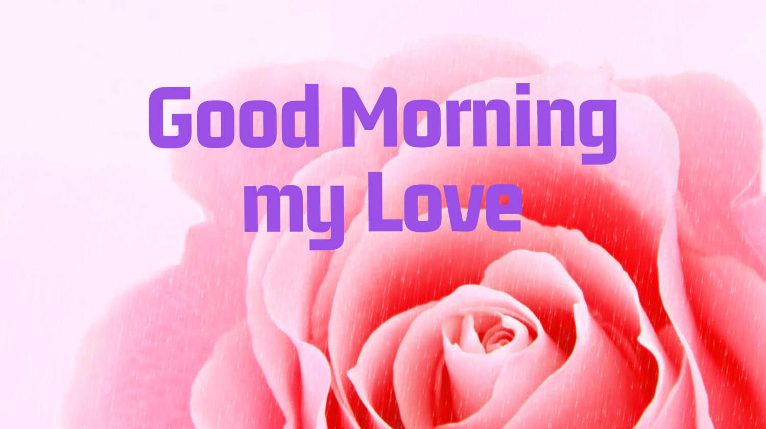 100+ Most lovely good morning quotes
