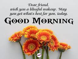 100+ lovely good morning messages for friends