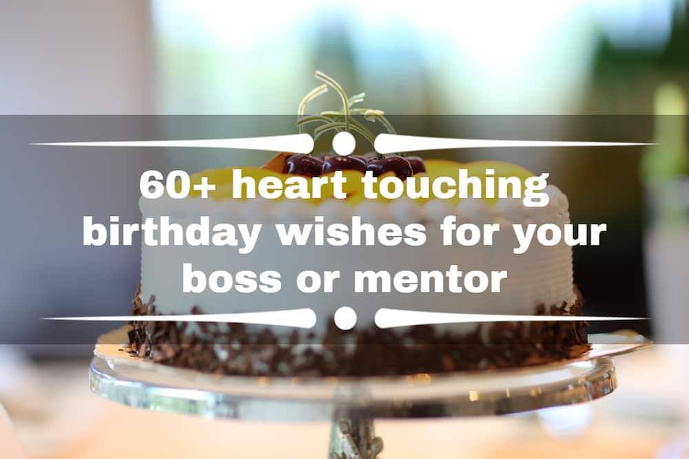 Top 50+ Heart touching and funny birthday wishes For Brother