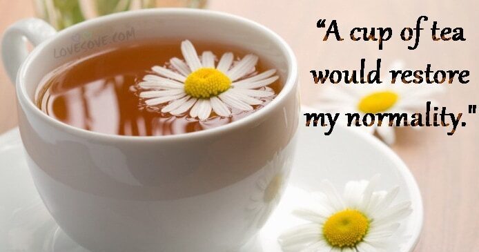 [ Best Of Best ] Tea Quotes, Captions & Status For A Tea